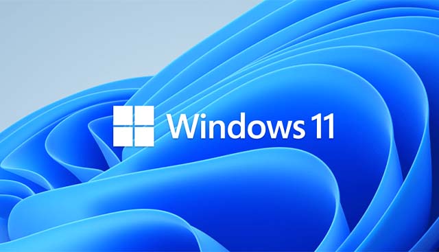 Download Windows 11 Pro v22H2 Build 22621.1848 Terbaru